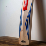 Gray Nicolls Volt Strike Kashmir Willow Cricket Bat – Junior - 26/27